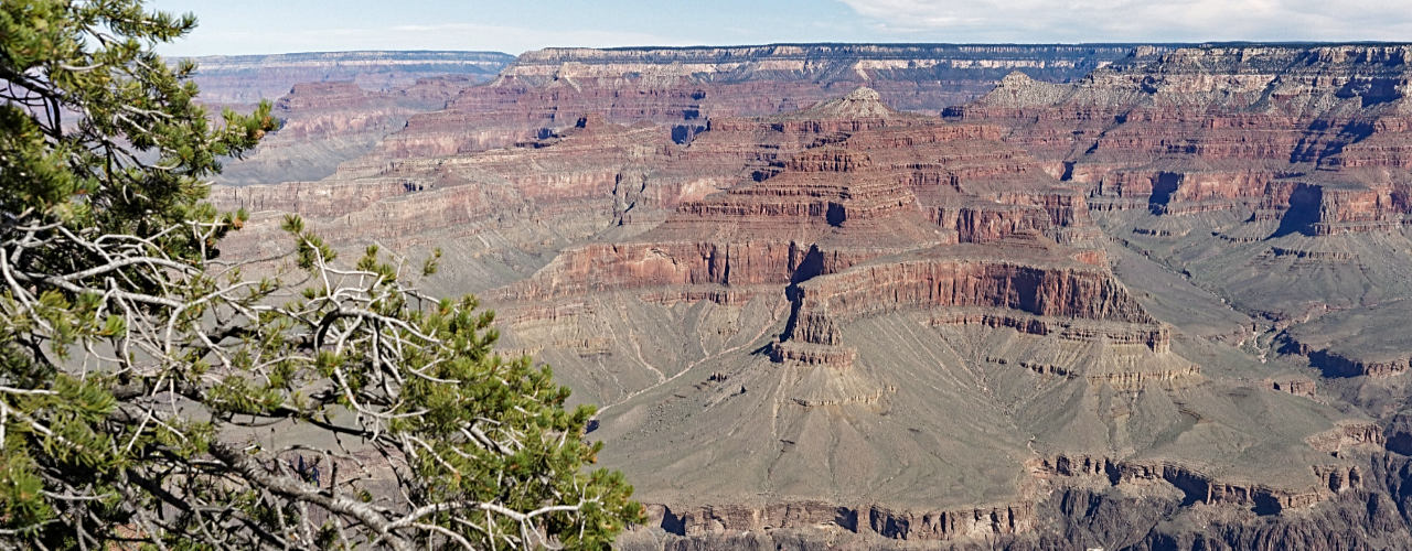The Grand Canyon in AZ