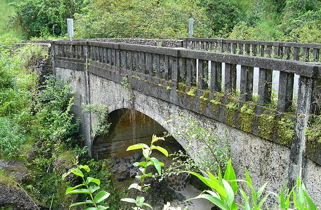 Maui Bridge