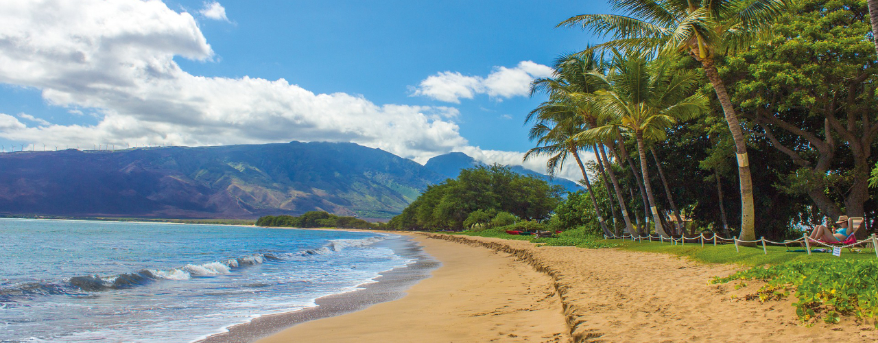 Maui Beach Rental