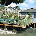 Maui Seaside Garden